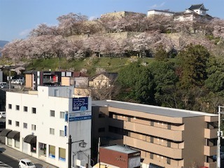 IMG_4034.jpg